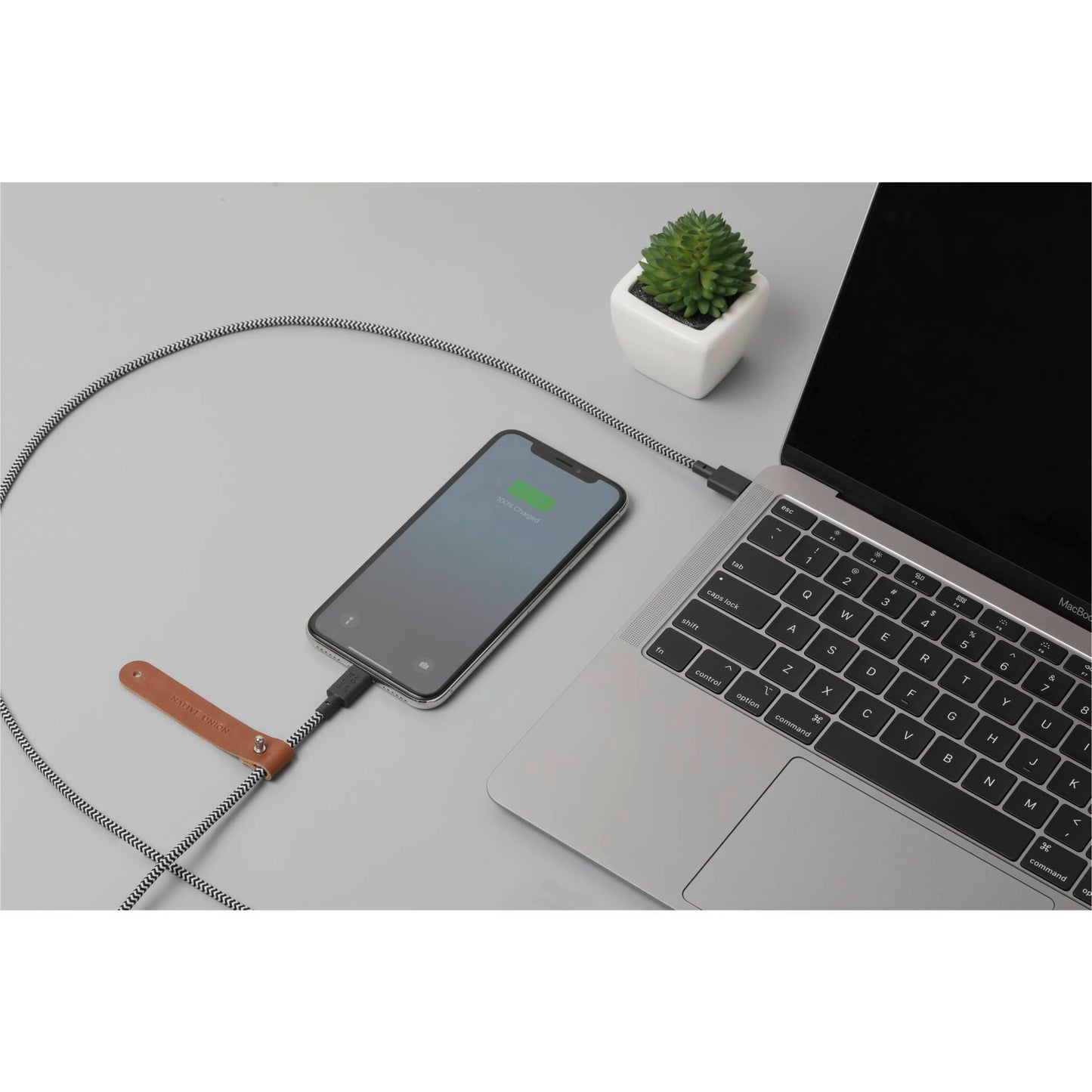 Native Union Belt Cable USB-C to Lightning 1,2m Zebra