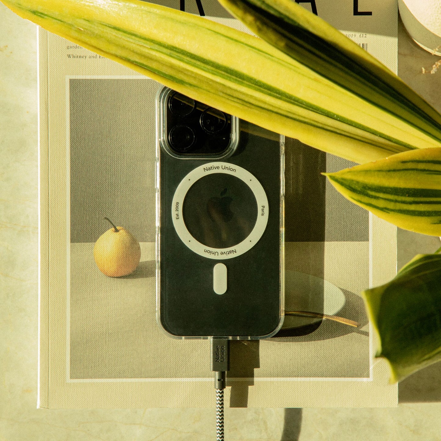 Native Union Belt Cable XL USB-C to USB-C 3m Zebra